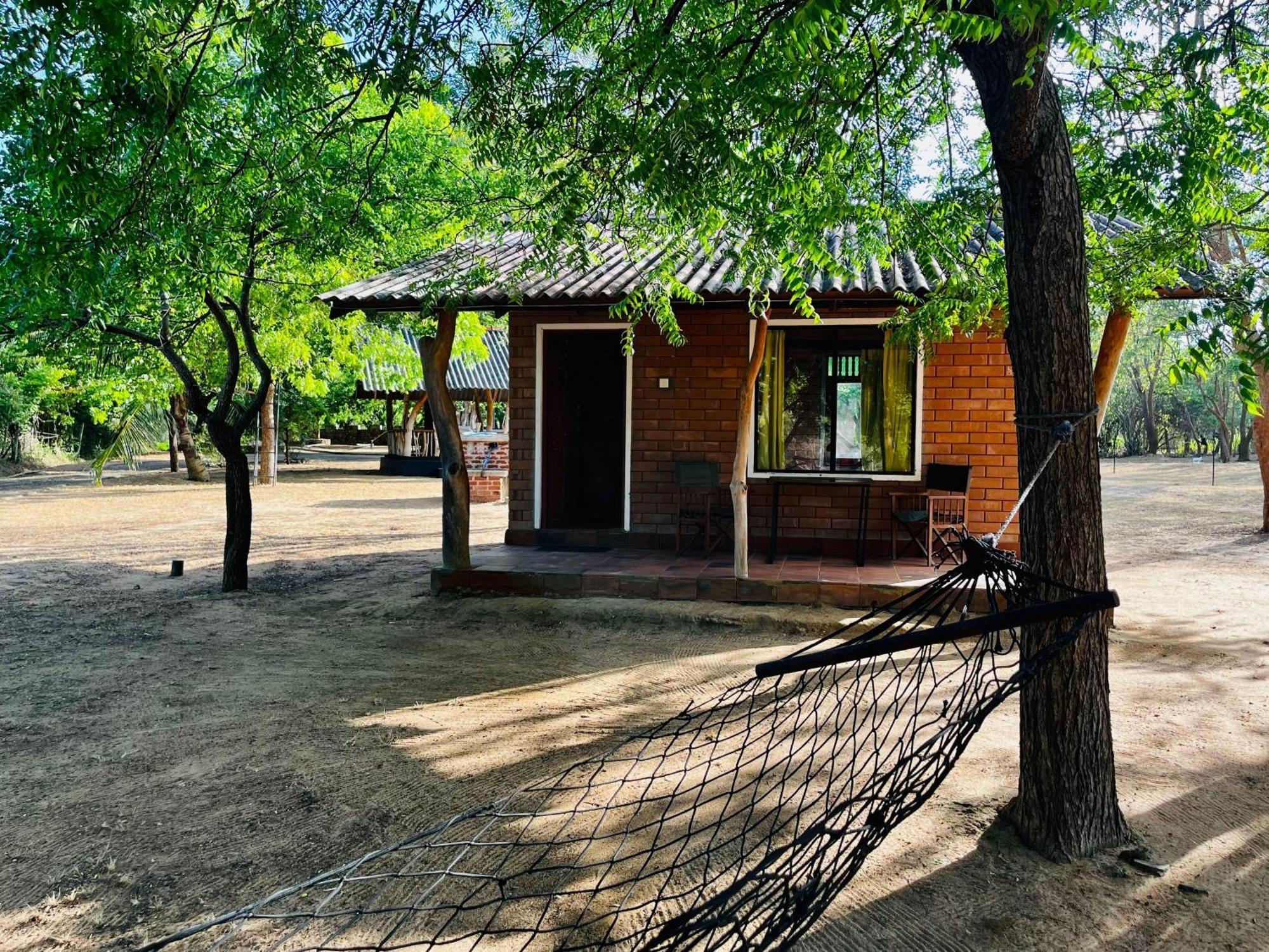 Funky Leopard Safari Lodge Bordering Yala National Park Kataragama Exterior photo